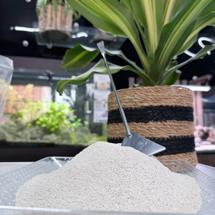 Premium Coral Sand Substrate for Aquariums, Marine Tanks & Terrariums