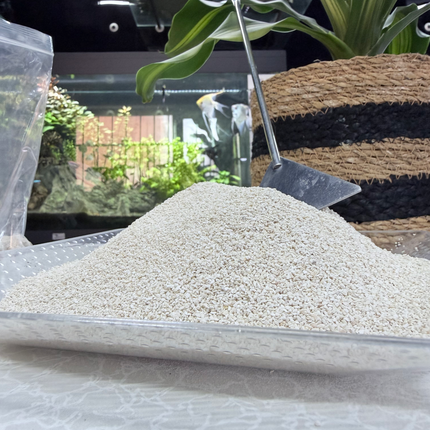 Premium Coral Sand Substrate for Aquariums, Marine Tanks & Terrariums