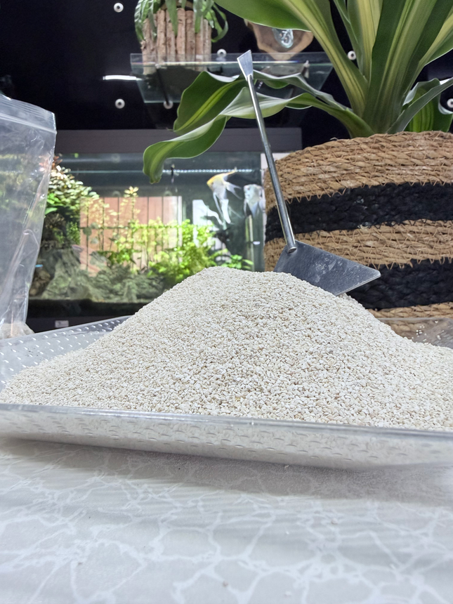 Premium Coral Sand Substrate for Aquariums, Marine Tanks & Terrariums