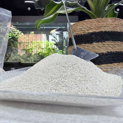 Premium Coral Sand Substrate for Aquariums, Marine Tanks & Terrariums