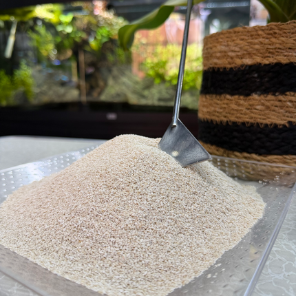 Premium Coral Sand Substrate for Aquariums, Marine Tanks & Terrariums