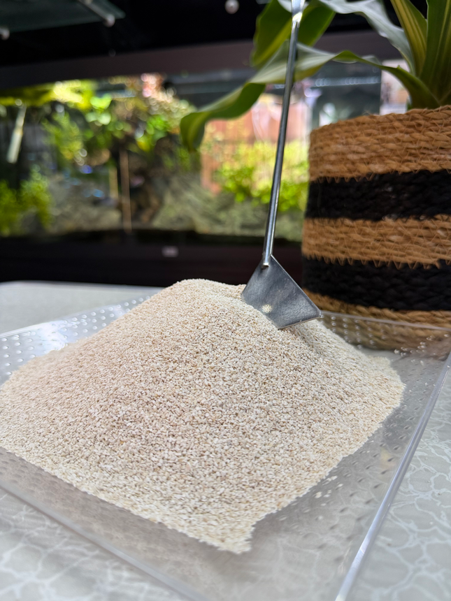 Premium Coral Sand Substrate for Aquariums, Marine Tanks & Terrariums