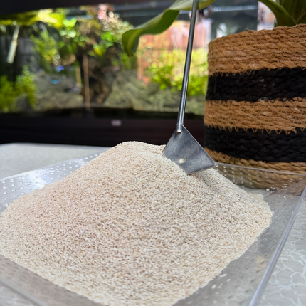 Premium Coral Sand Substrate for Aquariums, Marine Tanks & Terrariums