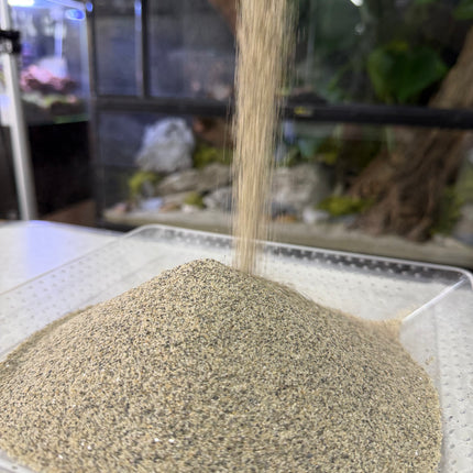Speckled Sand – Premium Natural Aquarium & Terrarium Substrate
