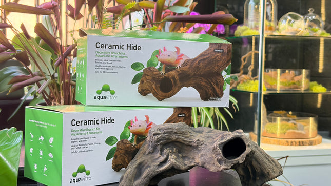 Ceramic Branch Hide – Natural Driftwood Cave for Aquariums & Terrariums