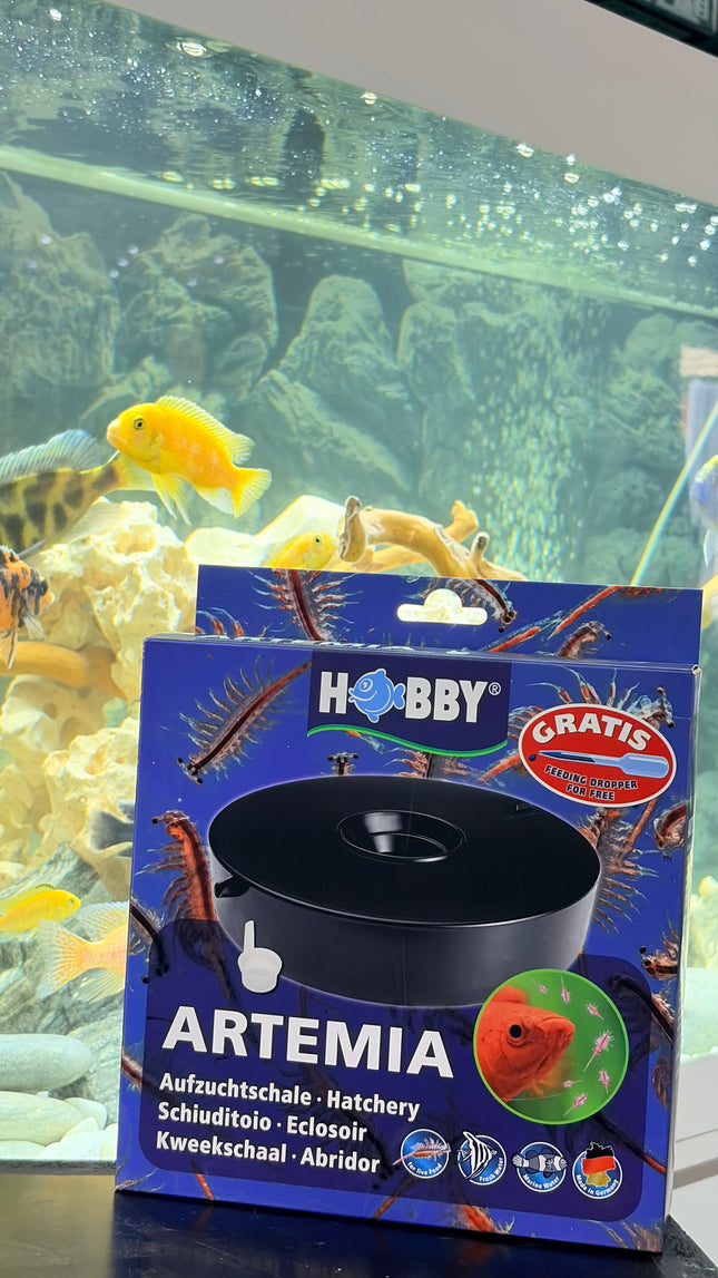 Hobby Artemia Hatchery – Brine Shrimp Hatching Kit for Aquarium Fish Fry