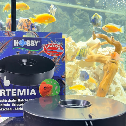 Hobby Artemia Hatchery – Brine Shrimp Hatching Kit for Aquarium Fish Fry
