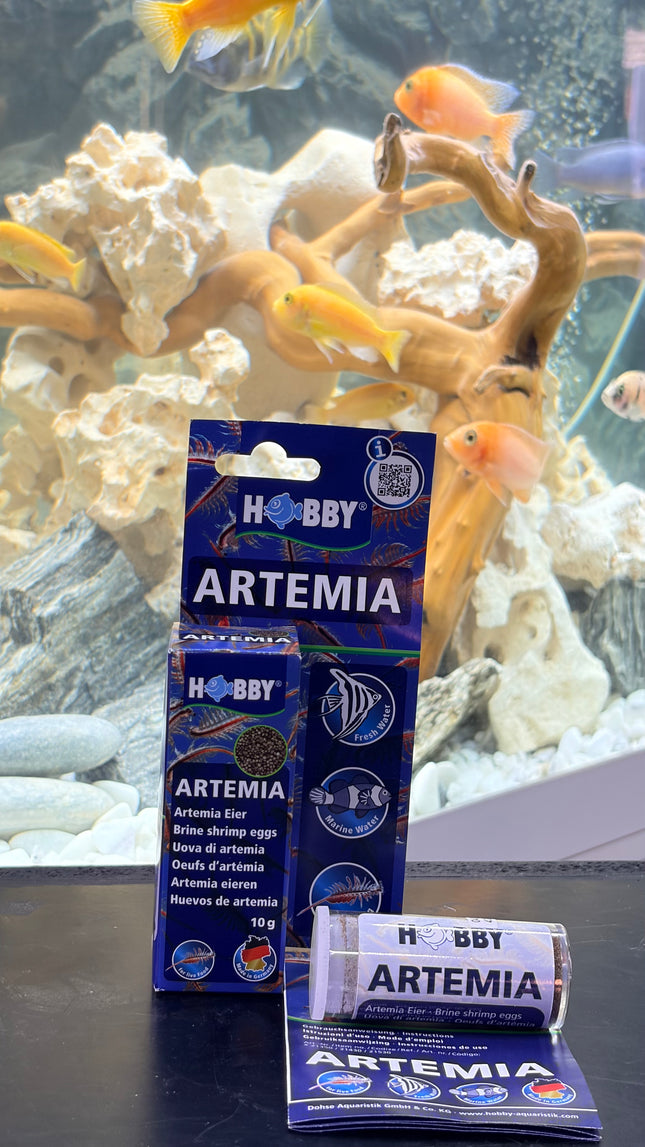 Hobby Artemia Brine Shrimp Eggs 10g – Premium Fish Fry & Live Food Culture