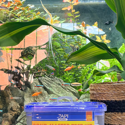 API Pond Master Test Kit – 500+ Pond Water Tests for pH, Ammonia, Nitrite & Phosphate