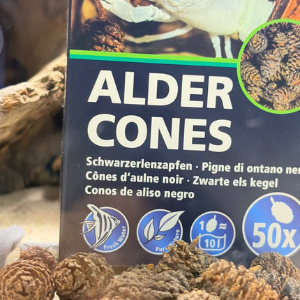 A package of Hobby Alder Cones fishing bait stands upright on sand with several brown cone-shaped baits scattered in front. The box is dark blue and black with a large photo of a white crayfish and the text 'ALDER CONES' and '50x'.