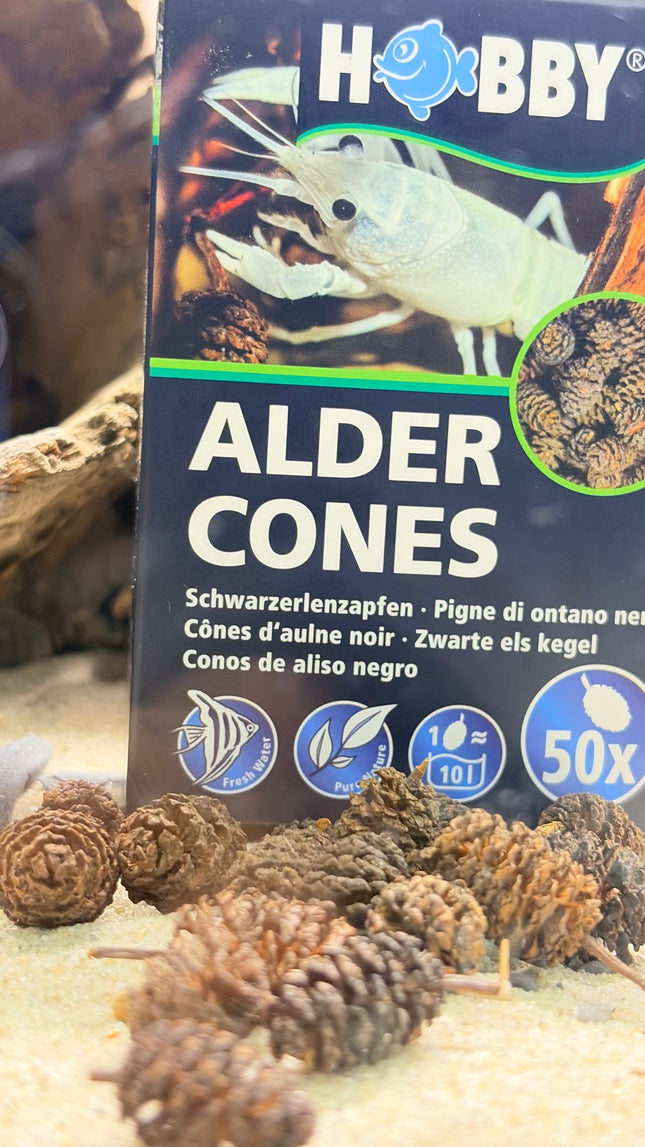 A package of Hobby Alder Cones fishing bait stands upright on sand with several brown cone-shaped baits scattered in front. The box is dark blue and black with a large photo of a white crayfish and the text 'ALDER CONES' and '50x'.