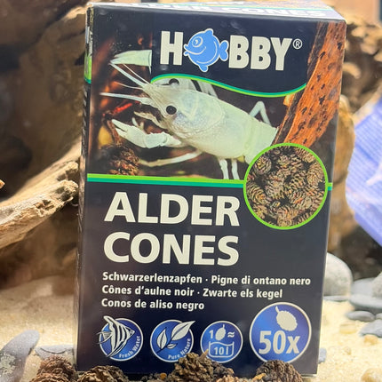 Hobby Alder Cones Pack – Natural Water Conditioner for Shrimp, Betta & Freshwater Aquariums