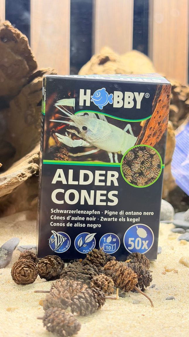 Hobby Alder Cones Pack – Natural Water Conditioner for Shrimp, Betta & Freshwater Aquariums
