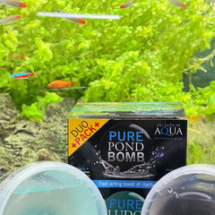 Collection image for: Pond Water Care & Essentials