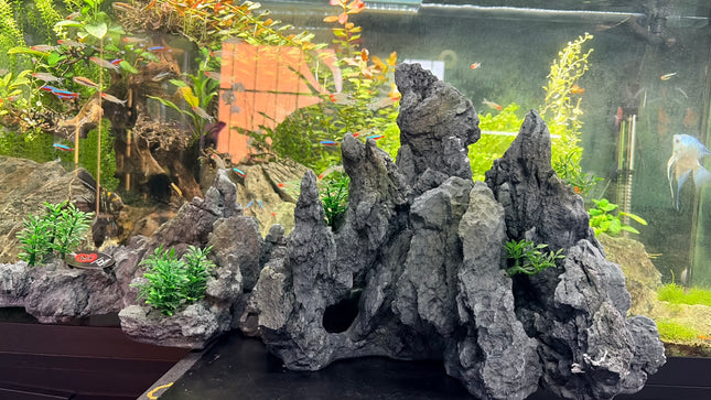 Hugo Rock Pack 6 – Natural Rock Formation Aquarium & Terrarium Decor (4 × 21 × 33 cm)