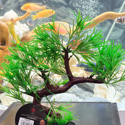 Hugo Bonsai Mini Spider 23 cm