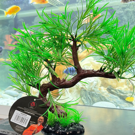 Hugo Bonsai Mini Spider 23 cm