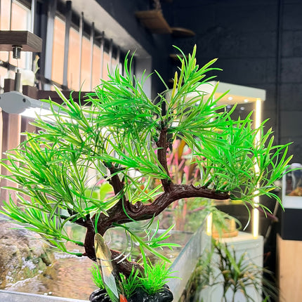 Hugo Bonsai Mini Spider 23 cm