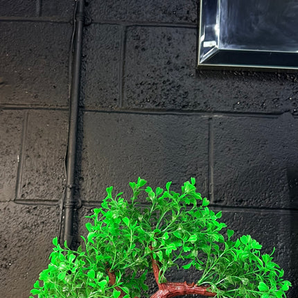 Hugo Bonsai Summer 23 cm