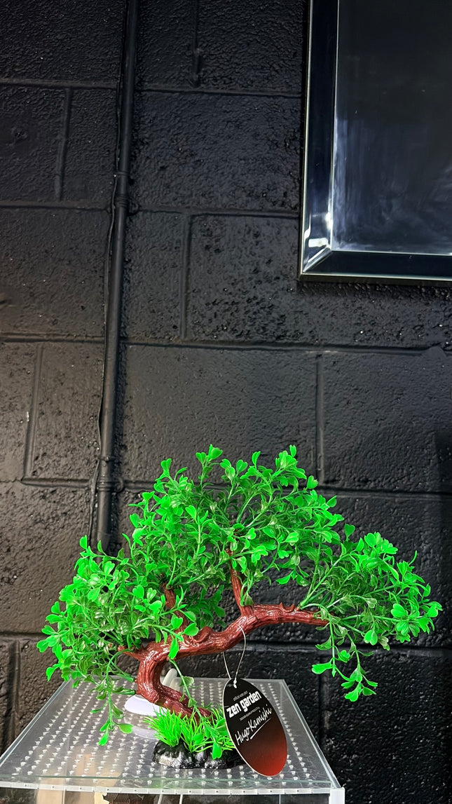 Hugo Bonsai Summer 23 cm
