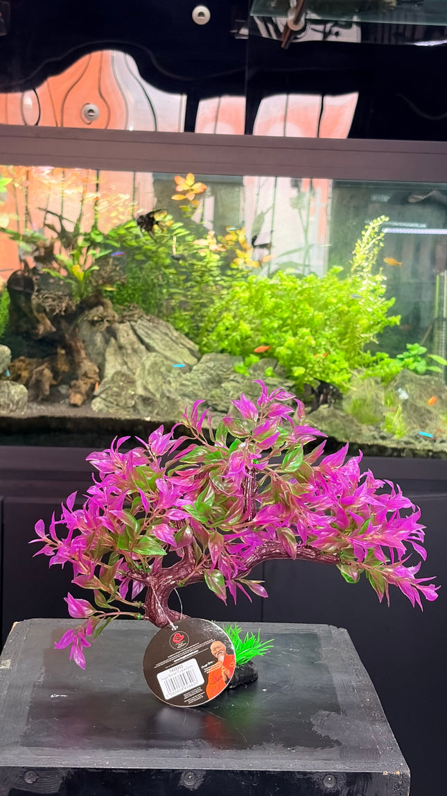 Hugo Bonsai Summer 23Cm