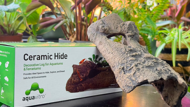 Ceramic Log Hide – Natural Hollow Log Shelter for Aquariums & Terrariums