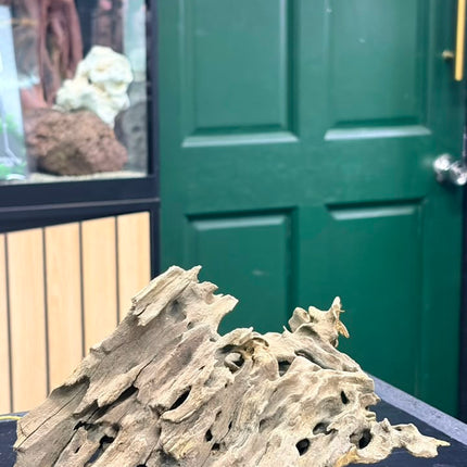 Natural Dragon Wood – Large Centerpiece Aquascaping Driftwood Piece