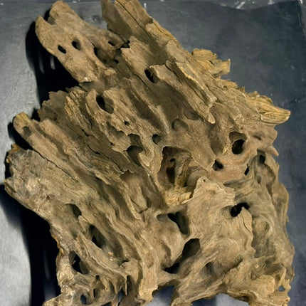 Natural Dragon Wood – Large Centerpiece Aquascaping Driftwood Piece
