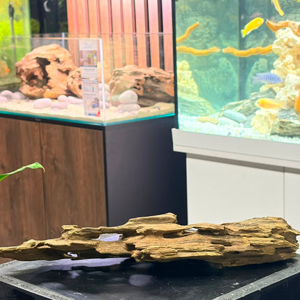 Natural Dragon Wood – Tall Spire / Tower Aquascaping Driftwood Piece