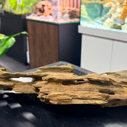 Natural Dragon Wood – Tall Spire / Tower Aquascaping Driftwood Piece