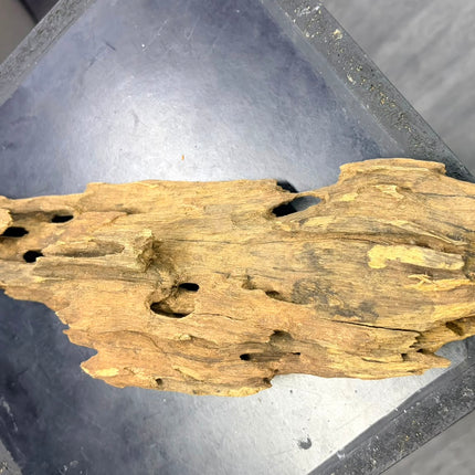 Natural Dragon Wood – Tall Spire / Tower Aquascaping Driftwood Piece