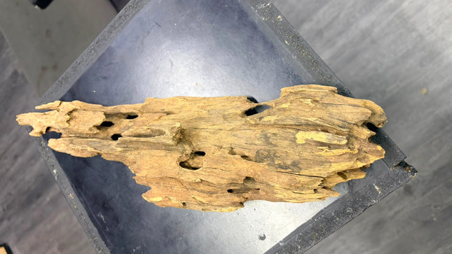 Natural Dragon Wood – Tall Spire / Tower Aquascaping Driftwood Piece