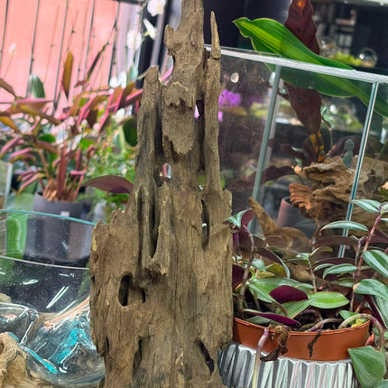 Natural Dragon Wood – Tall Spire / Tower Aquascaping Driftwood Piece