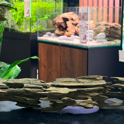 Natural Dragon Wood – Horizontal Log / Bridge Aquascaping Driftwood Piece