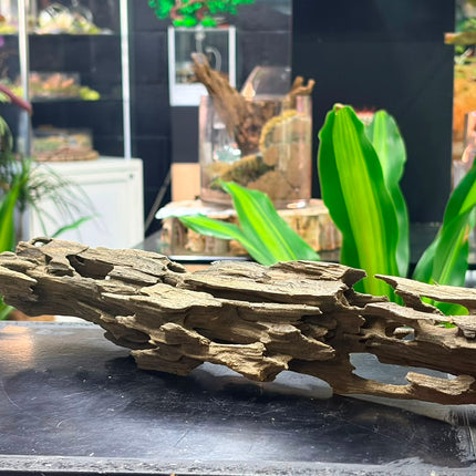Natural Dragon Wood – Horizontal Log / Bridge Aquascaping Driftwood Piece