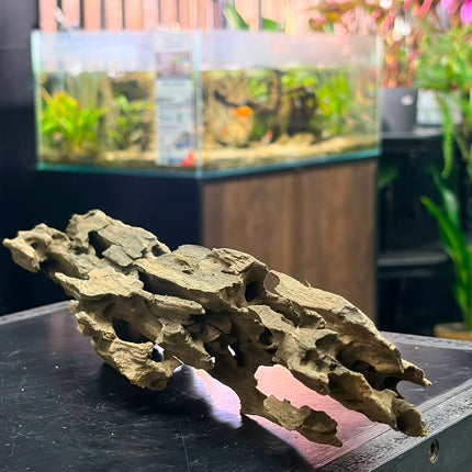 Natural Dragon Wood – Horizontal Log / Bridge Aquascaping Driftwood Piece
