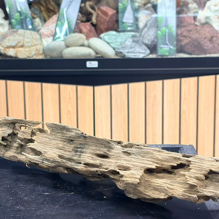 Natural Dragon Wood – Horizontal Log / Bridge Aquascaping Driftwood Piece