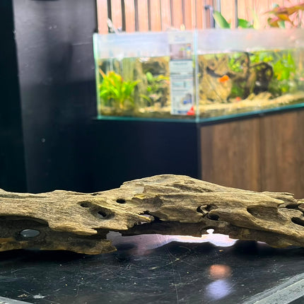 Natural Dragon Wood – Horizontal Log / Bridge Aquascaping Driftwood Piece
