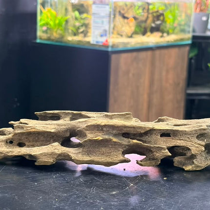 Natural Dragon Wood – Slender Horizontal Bridge Aquascaping Driftwood Piece
