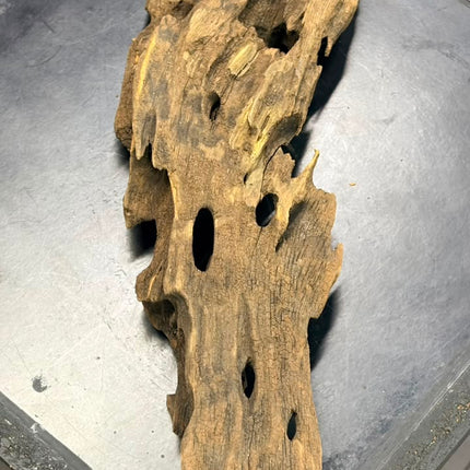Natural Dragon Wood – Slender Horizontal Bridge Aquascaping Driftwood Piece