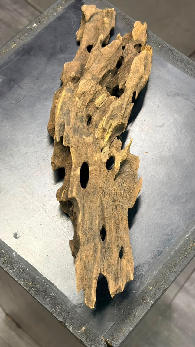 Natural Dragon Wood – Slender Horizontal Bridge Aquascaping Driftwood Piece