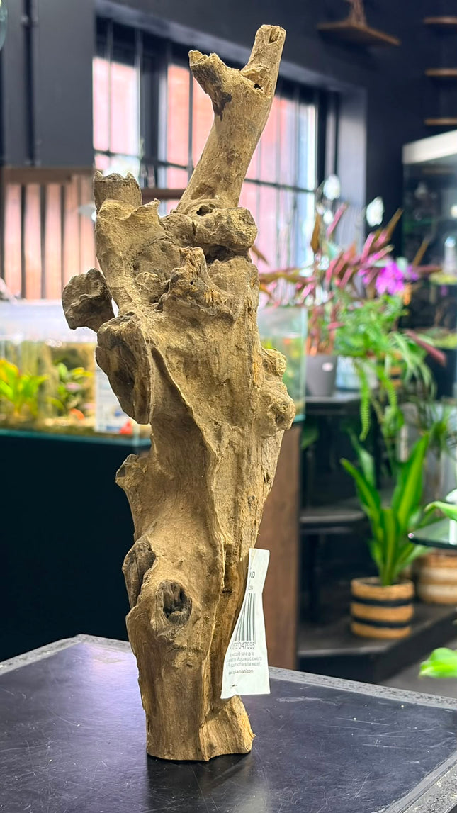 Natural Mojo Wood – Medium Tall Aquascaping Driftwood Piece