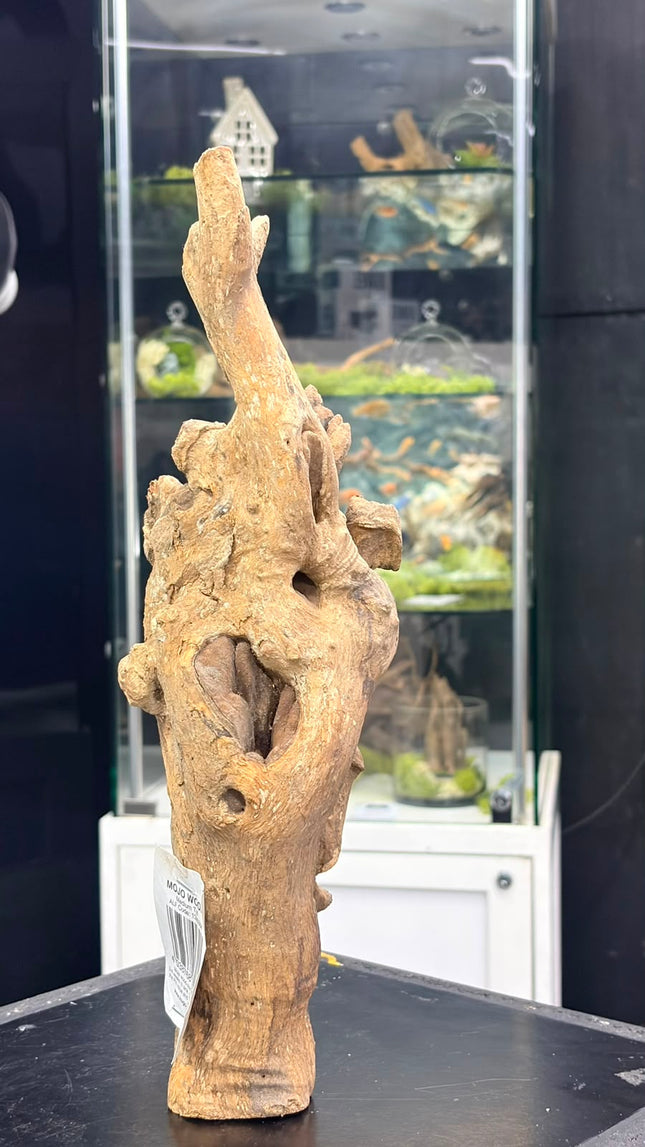Natural Mojo Wood – Medium Tall Aquascaping Driftwood Piece