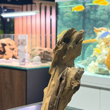 Natural Mojo Wood – Small/Medium Hardscape Piece (9" x 2.5" x 2")