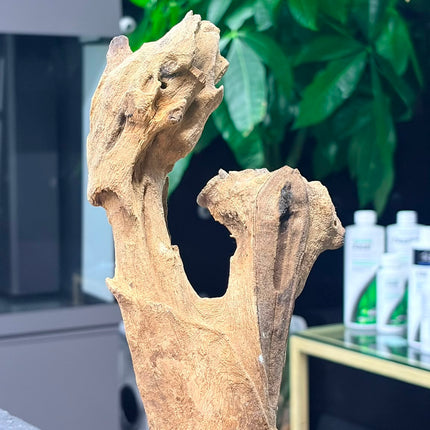 Natural Mojo Wood – Small/Medium Hardscape Piece (9" x 2.5" x 2")