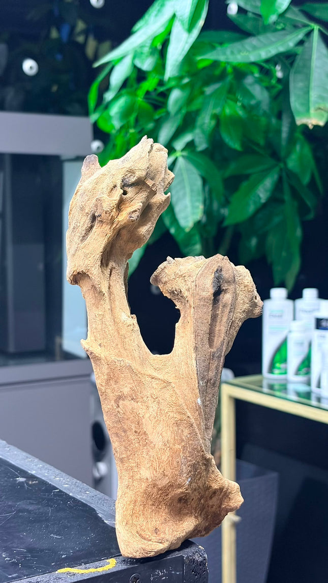 Natural Mojo Wood – Small/Medium Hardscape Piece (9" x 2.5" x 2")