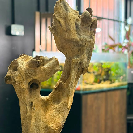 Natural Mojo Wood – Small/Medium Hardscape Piece (9" x 2.5" x 2")