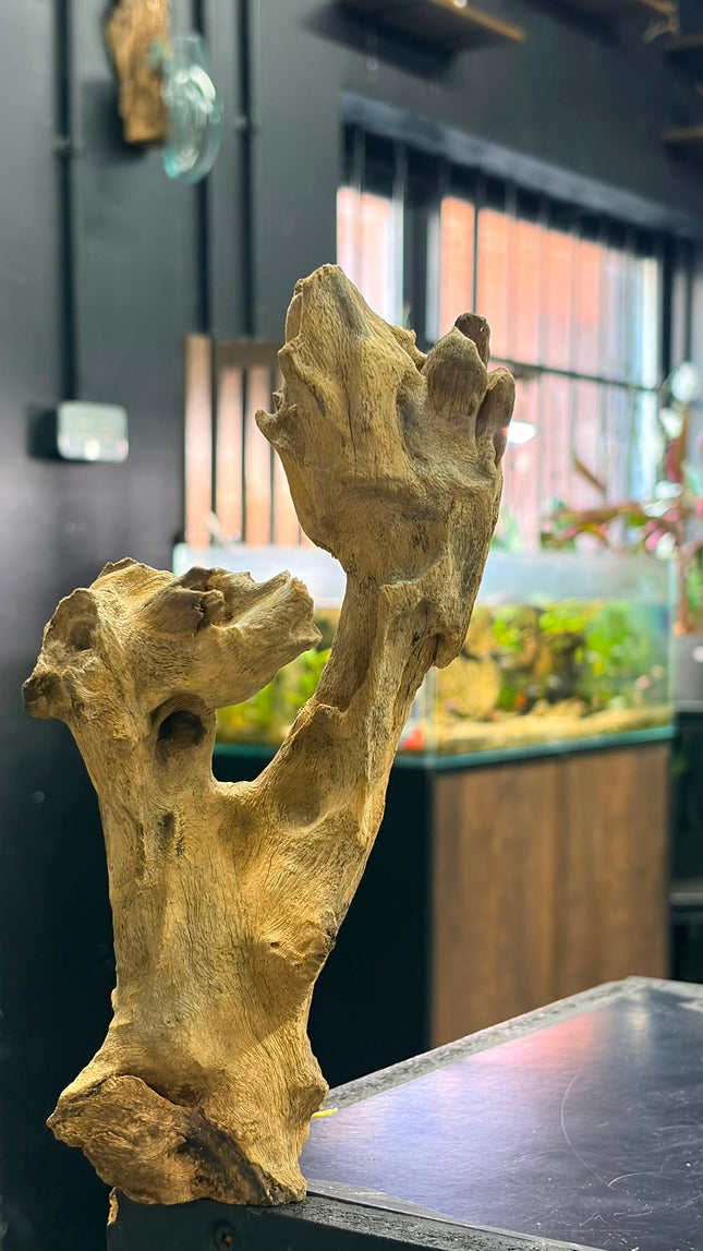 Natural Mojo Wood – Small/Medium Hardscape Piece (9" x 2.5" x 2")