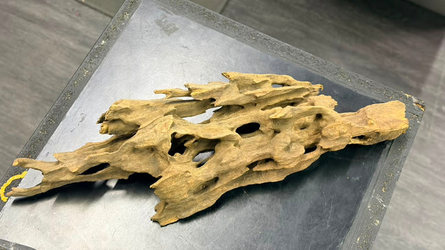 Natural Dragon Wood – Wide Horizontal Bridge Aquascaping Driftwood Piece