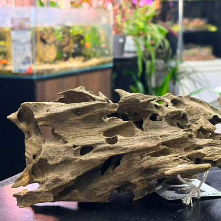 Natural Dragon Wood – Blocky Mountain Ridge / Mound Aquascaping Driftwood Piece